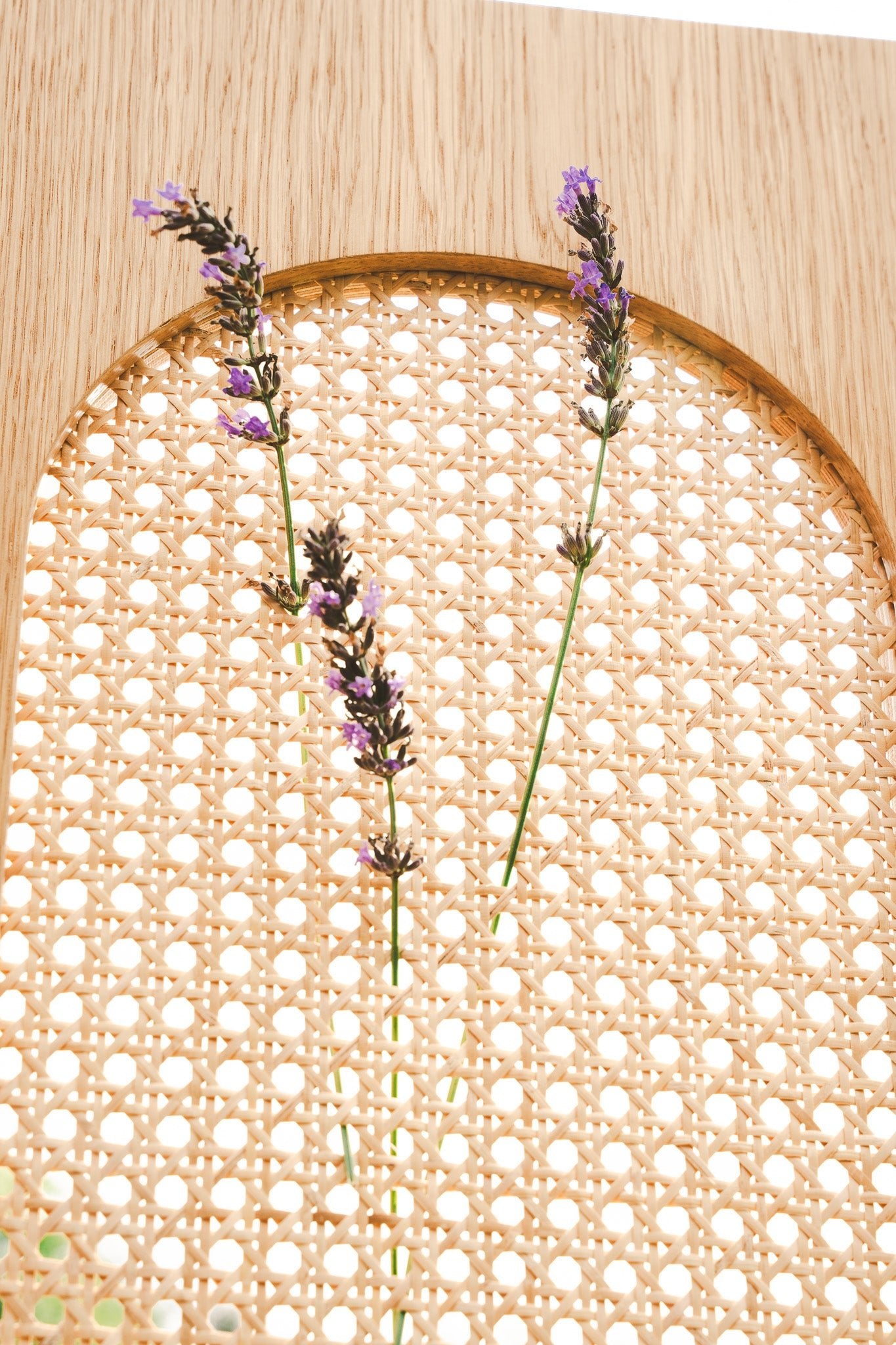 Highboard MOON L - Pastform Furniture - Global