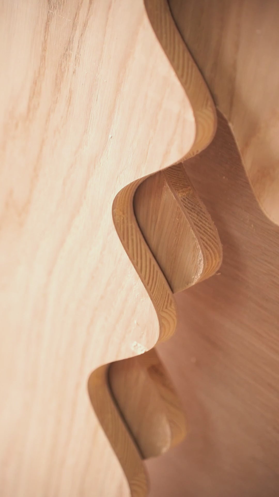 Load video: CLASSY bookcase